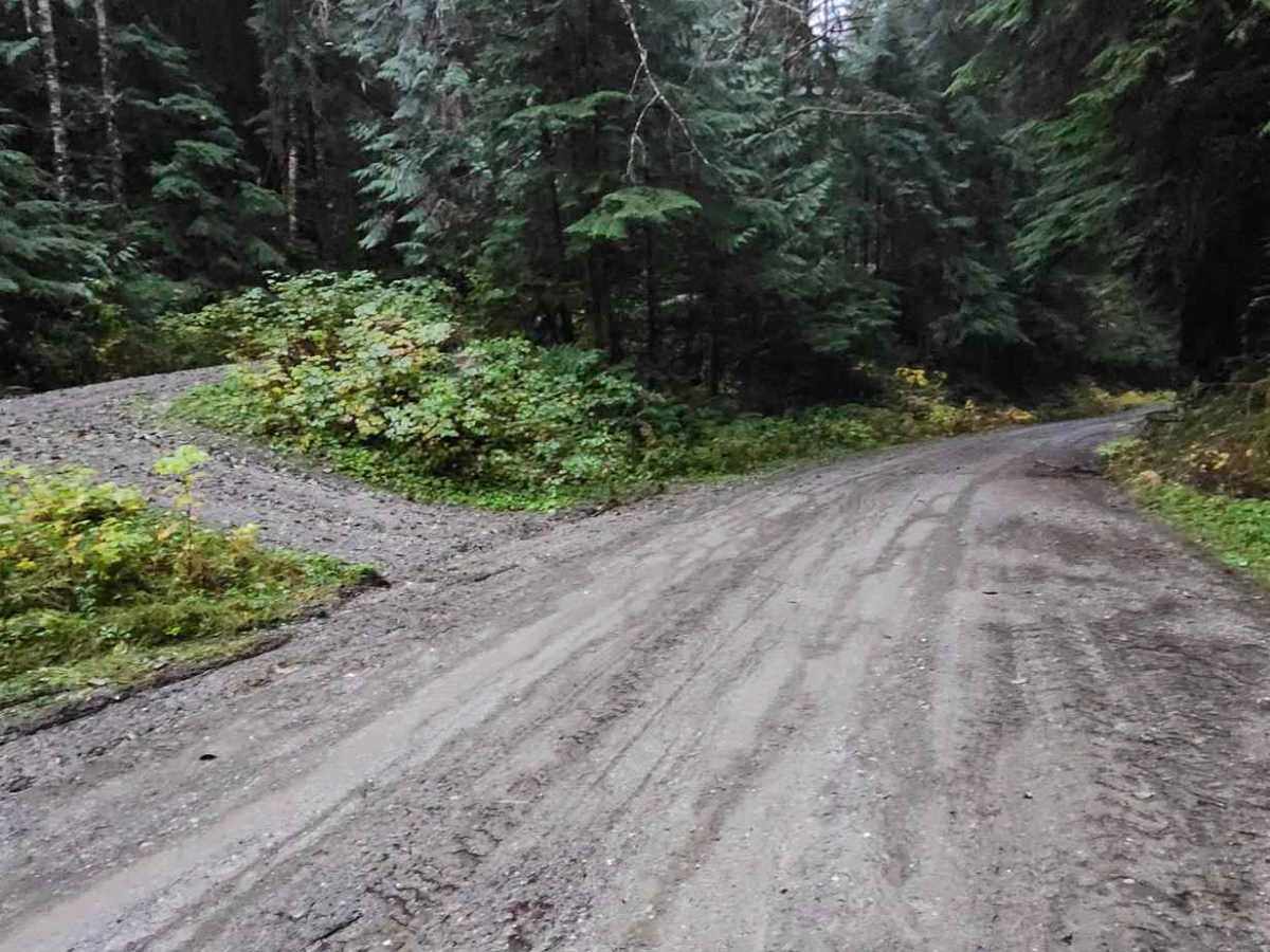 North Fork Stilly Road trail photo
