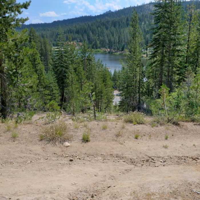 Near Reindeer Trail