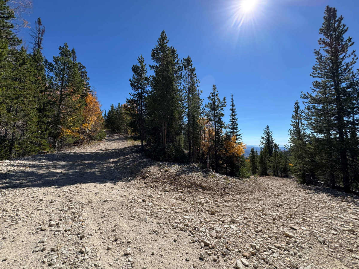 Royal Flush Road photo 4