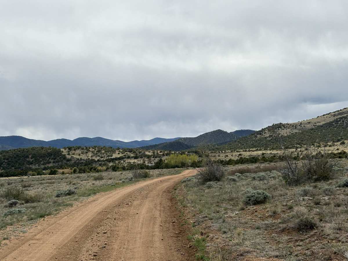 Kelly Creek Cutoff trail photo