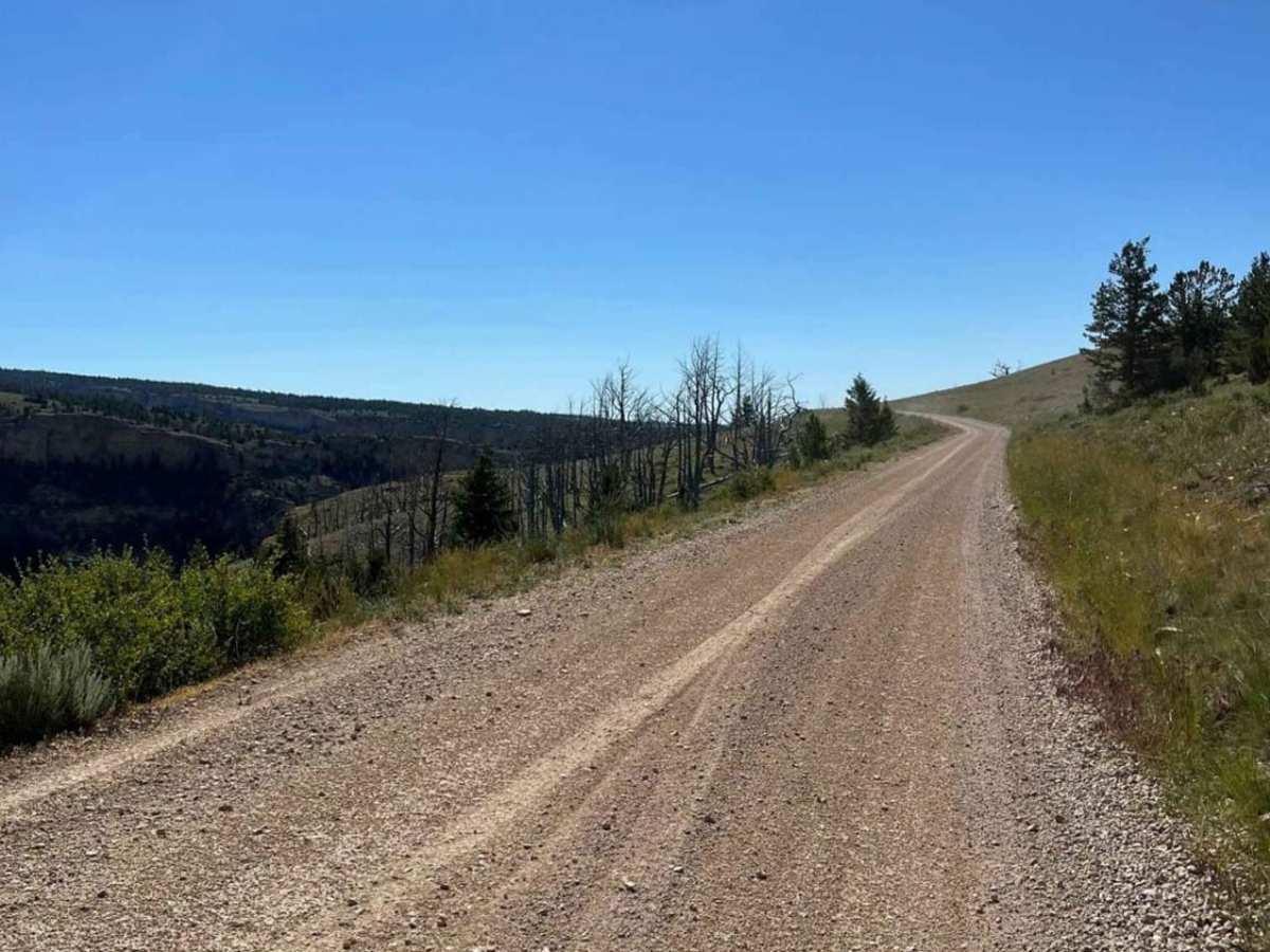 Crooked Creek Road photo 5