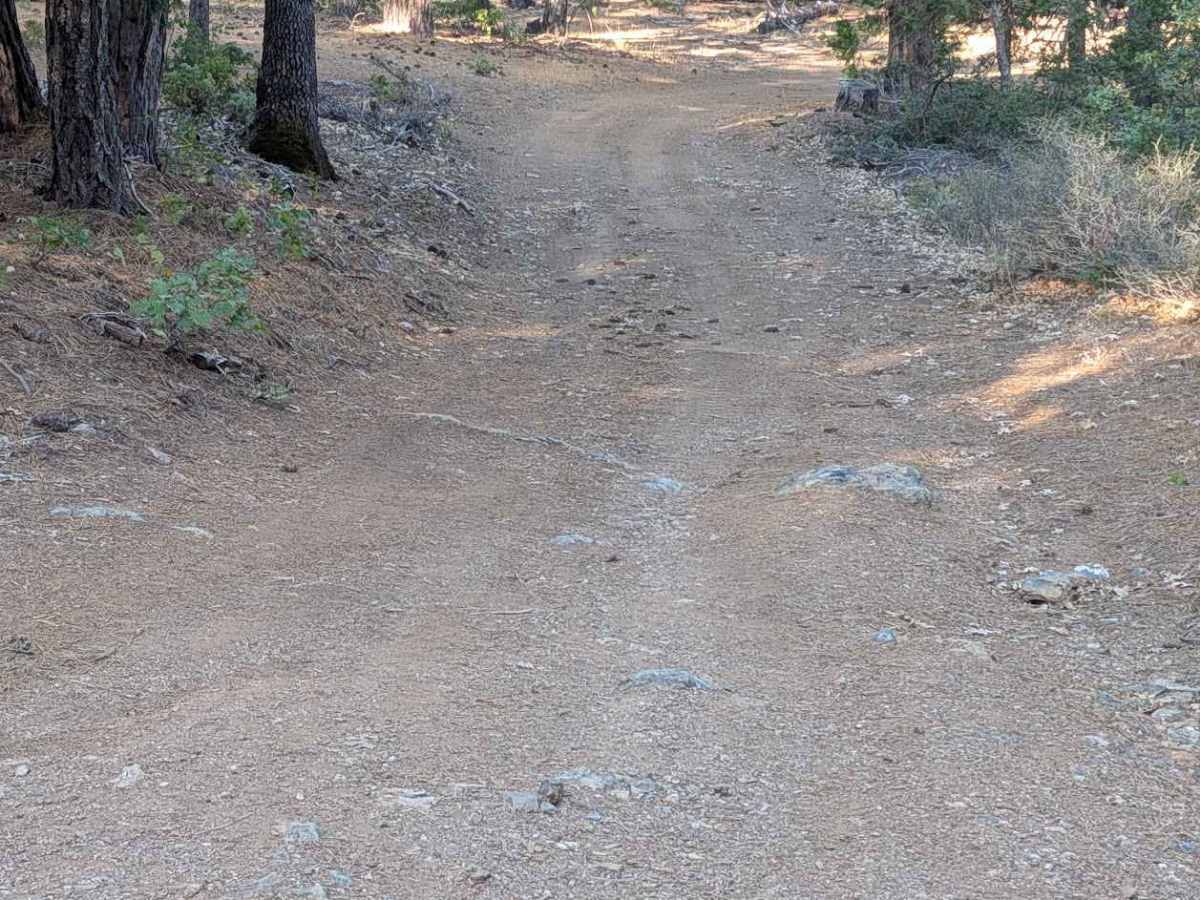 Bear Wallow Meadow Road - FS 1N14 photo 6