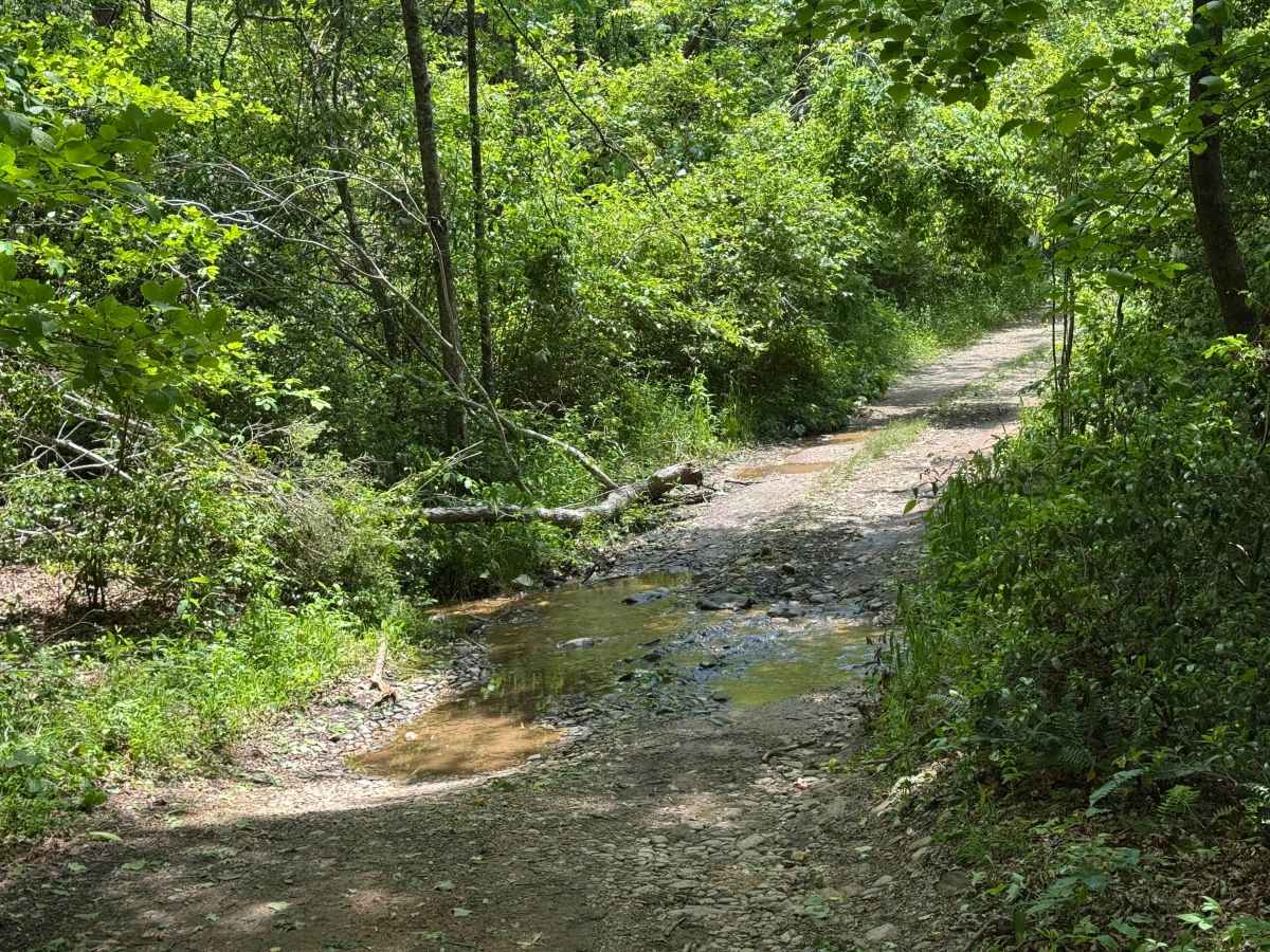 Rock Creek Lake - FS 69A photo 4