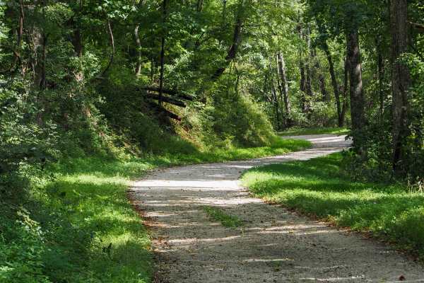 Mount Horeb Road