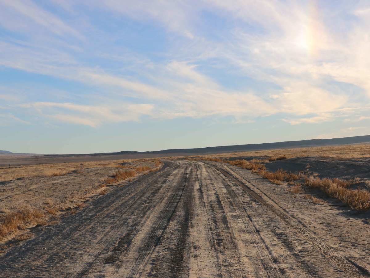 De Gamma Road photo 3