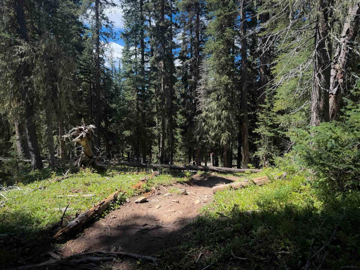 Priest Gulch - Trail 645  photo 5