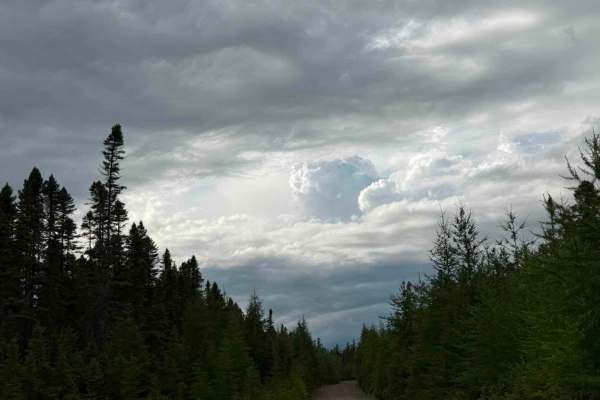 Chemin Rexfor