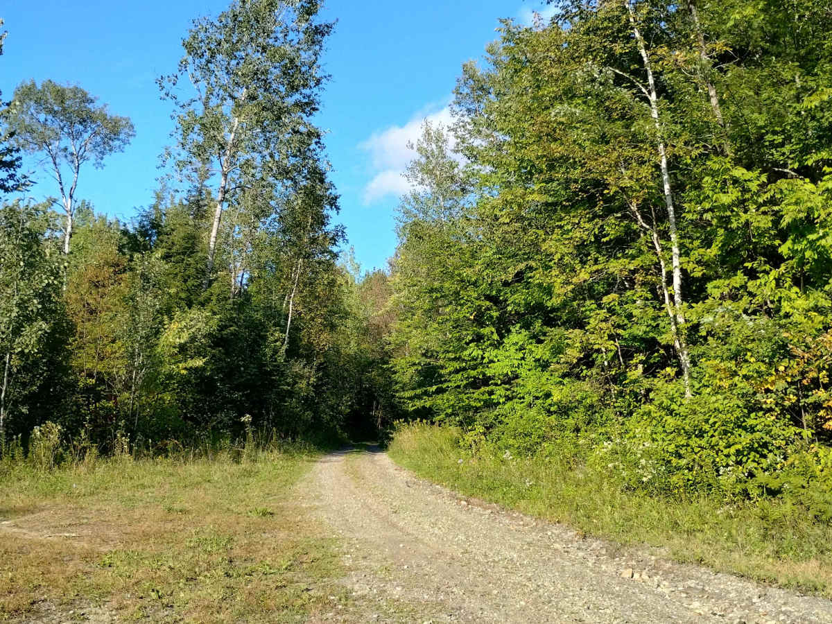 Johnson Mine Road photo 5
