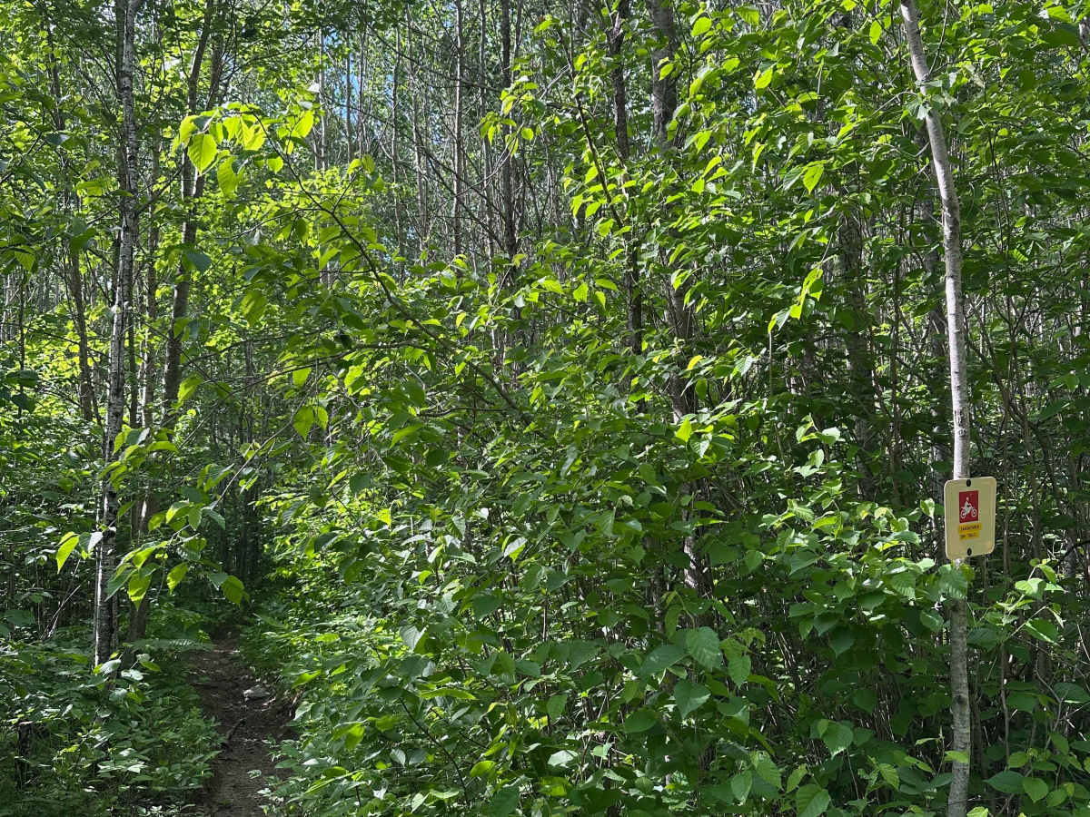 Sandwinder trail photo