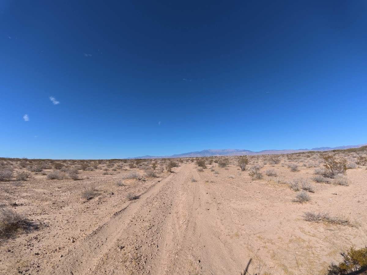 Sand Valley Plant Road photo 2