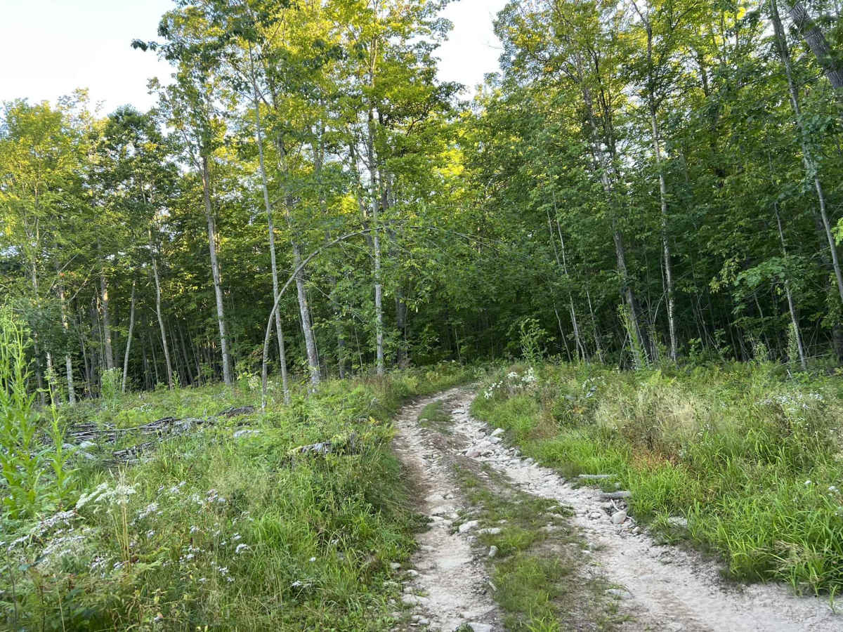 Forest County ATV/SXS 8 Mile Loop Trail 1 photo 3