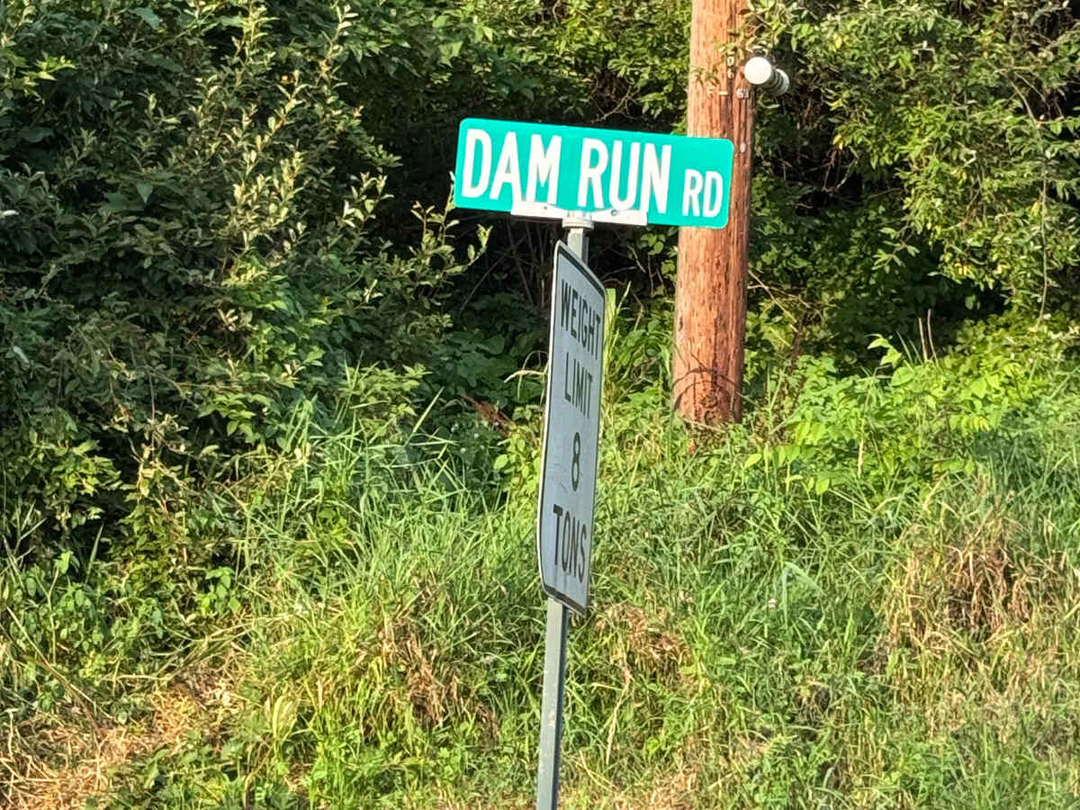 Dam Run Road trail photo