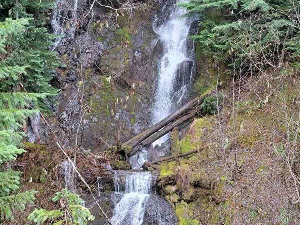 Yellow Jacket Creek photo 3