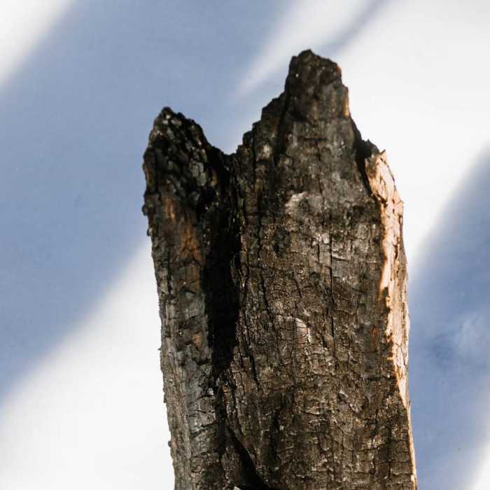 Near Boulder Loop Trail Near Boulder Loop Trail