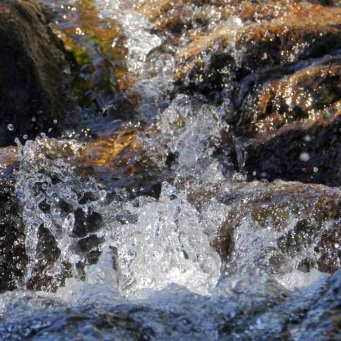 Near Cascade Falls via Bayview Trail