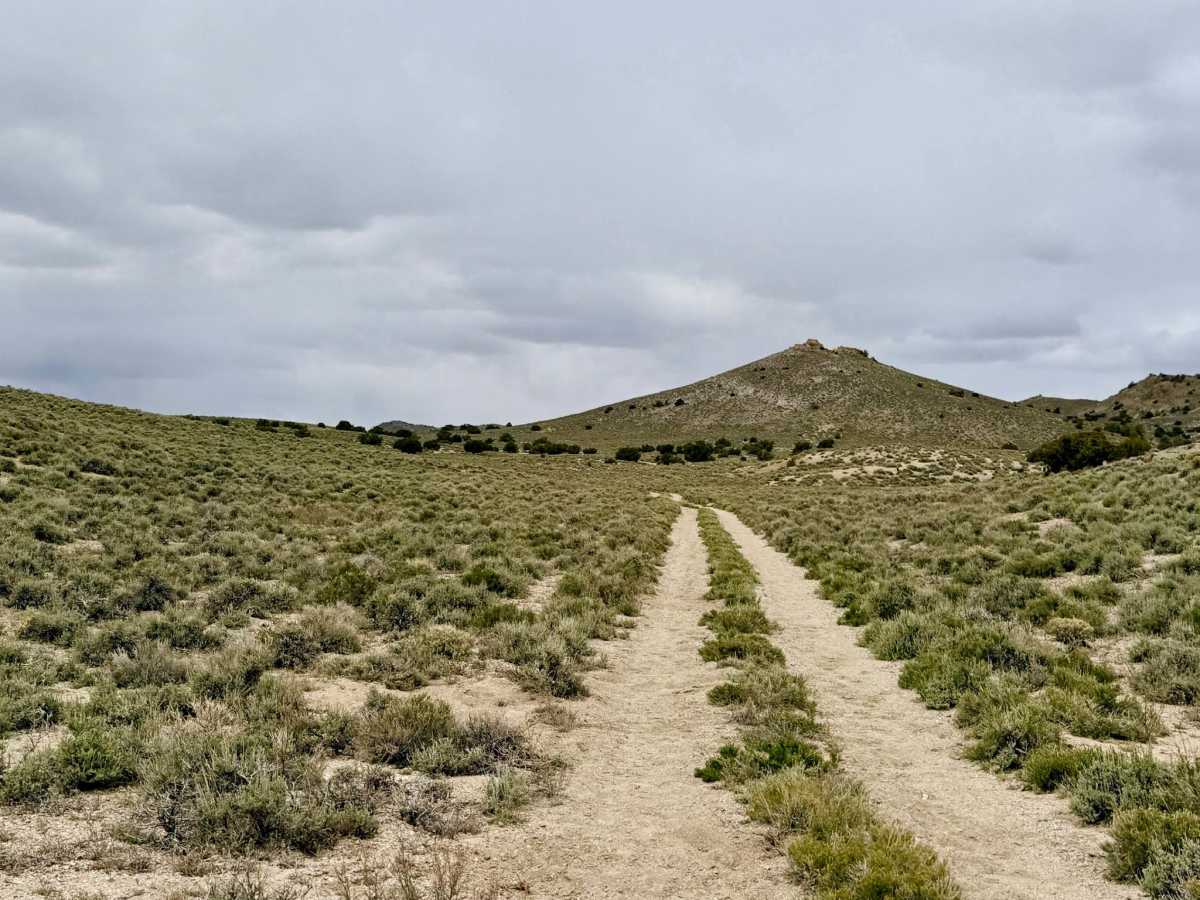 Parrotte Springs Trail - FS 44505 photo 5