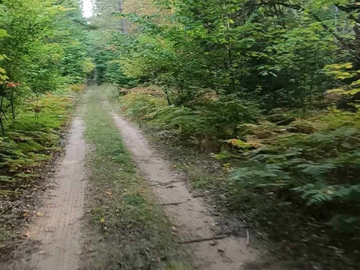East Boundary Road trail photo