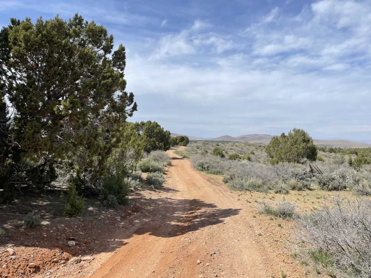 Juniper Ridge photo 3