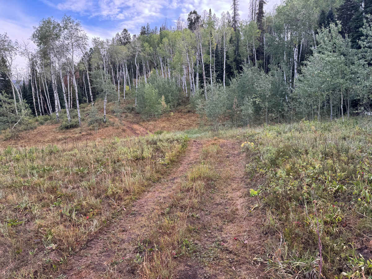 Meredith Trail photo 3