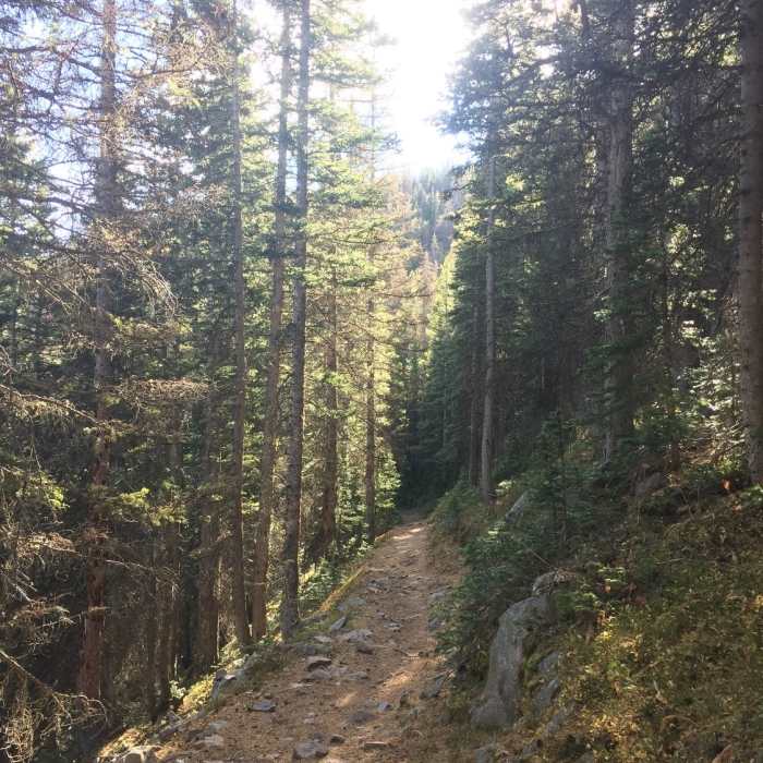 Near Comanche Trail #746