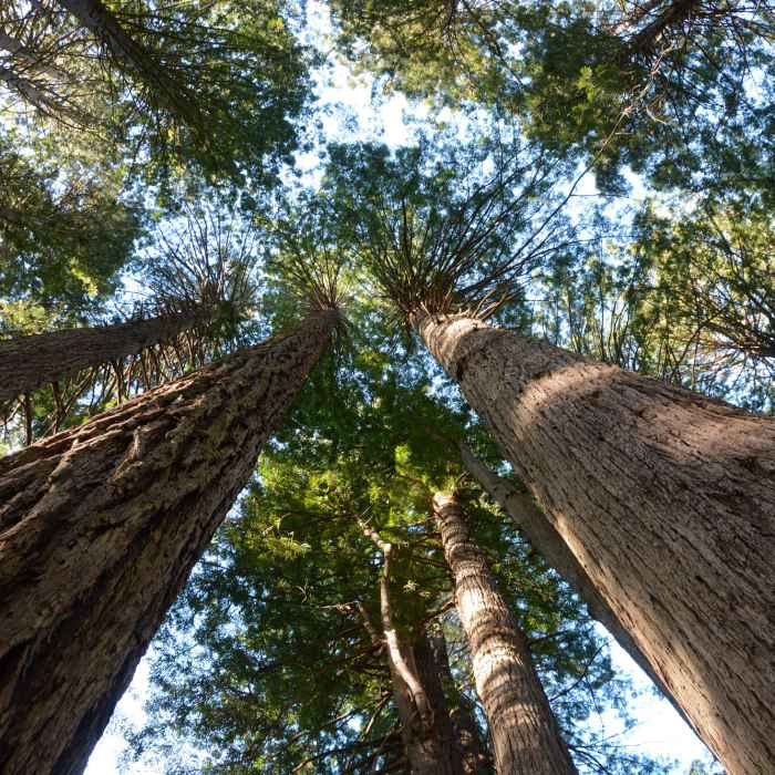 Near Friendship Ridge Trail