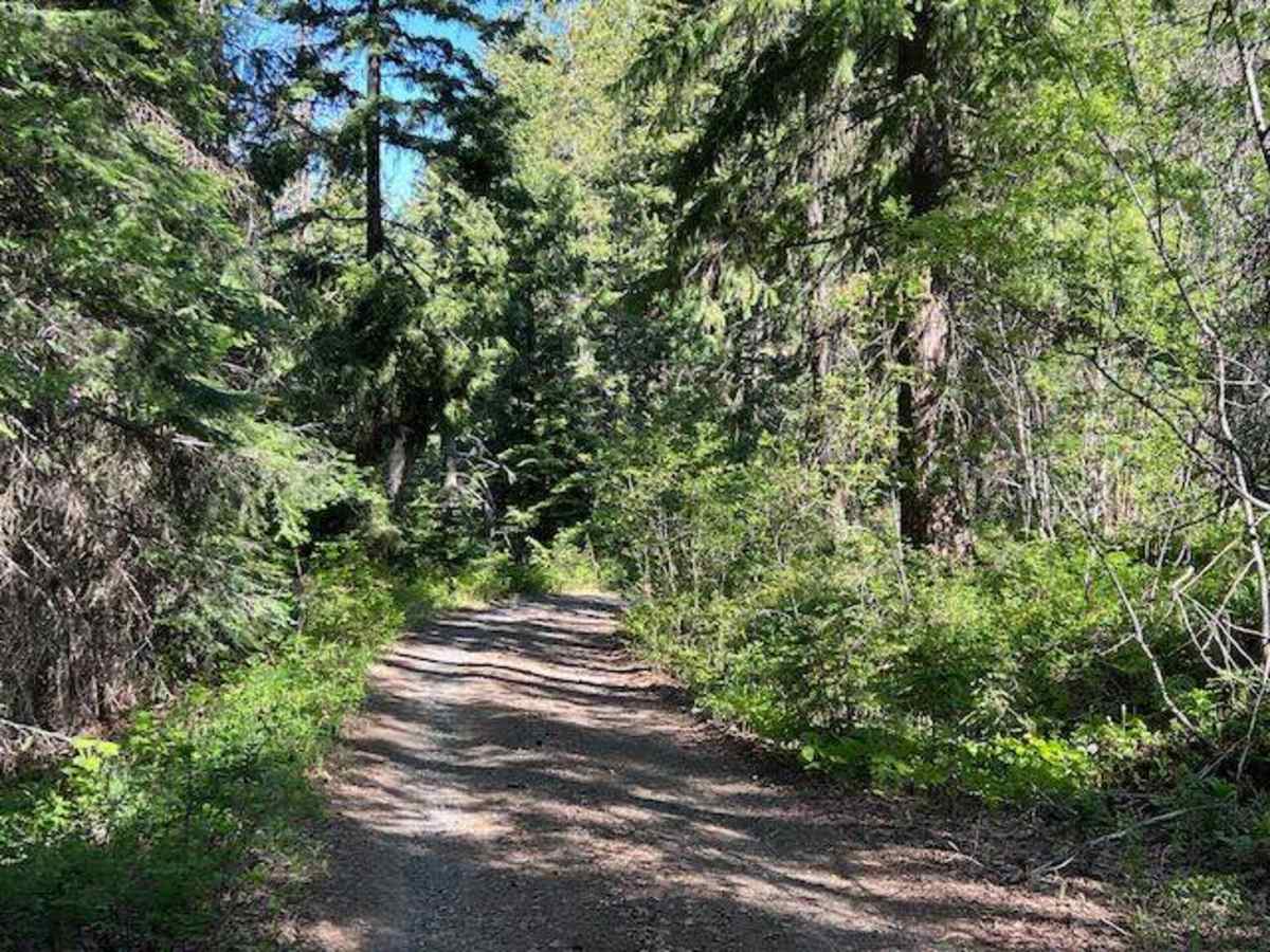Scotty Creek Road - FS 7324 photo 2