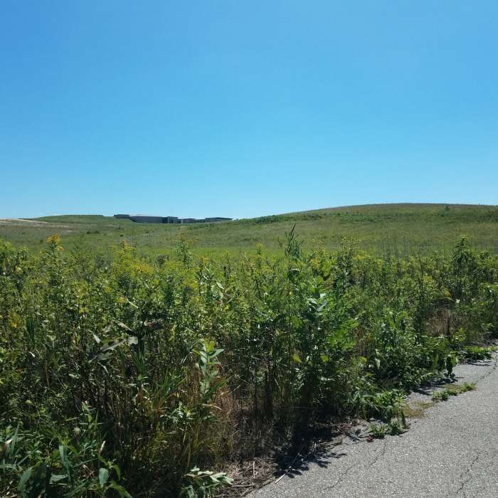 Near Tallgrass Trail