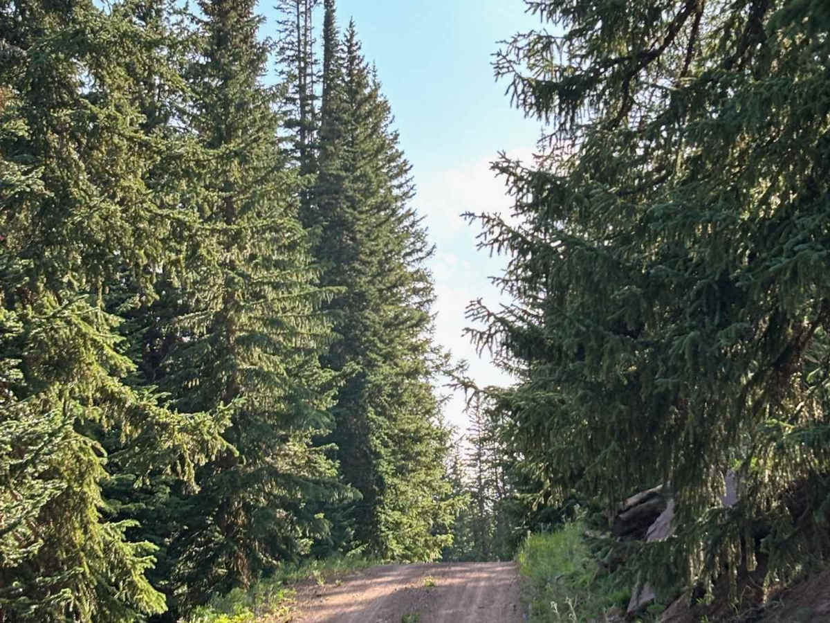 Hat Creek Road photo 5