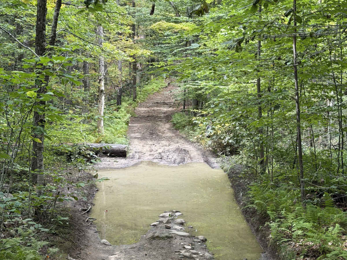 Homestead Road - East photo 4