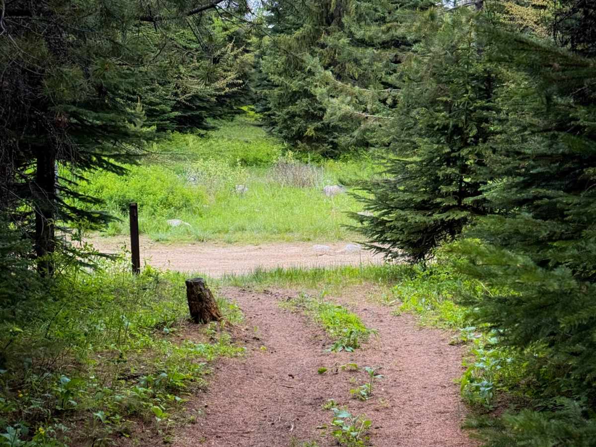 Down Low - Trail 455   photo 4