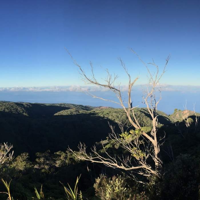 The first view coming out of the forest. Near Honopu Trail