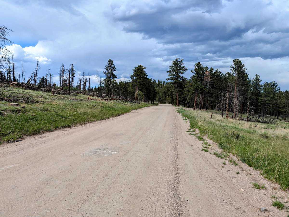 Pingree Park Road photo 4