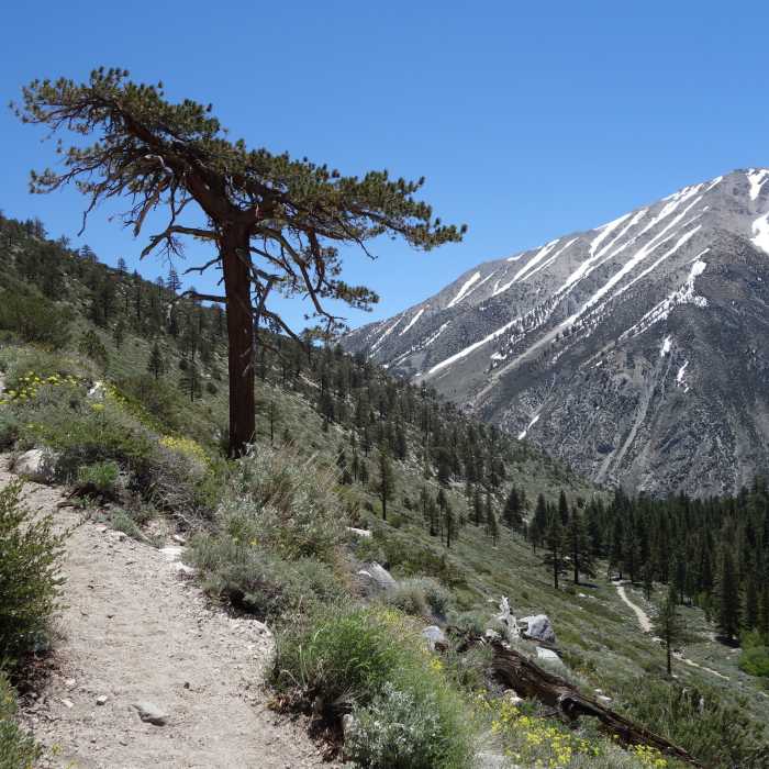 Kid Mountain (~11,860 ft) stands across the valley as the trail ascends to the Baker Creek Trail junction. Near Big Pine Lakes