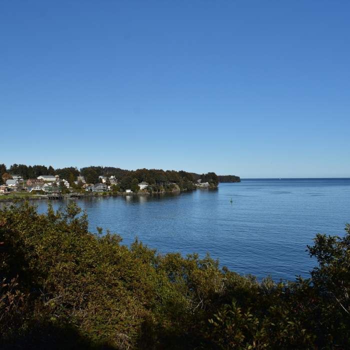 Channel view Near Island Trail