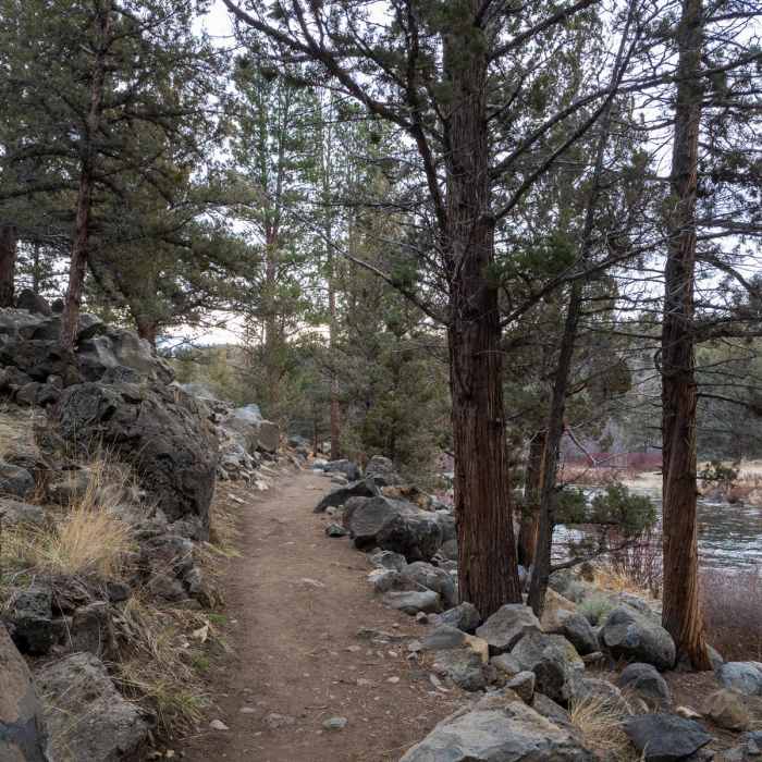 Near Deschutes River Trail (Tumalo State Park to Riley Ranch Nature Preserve)