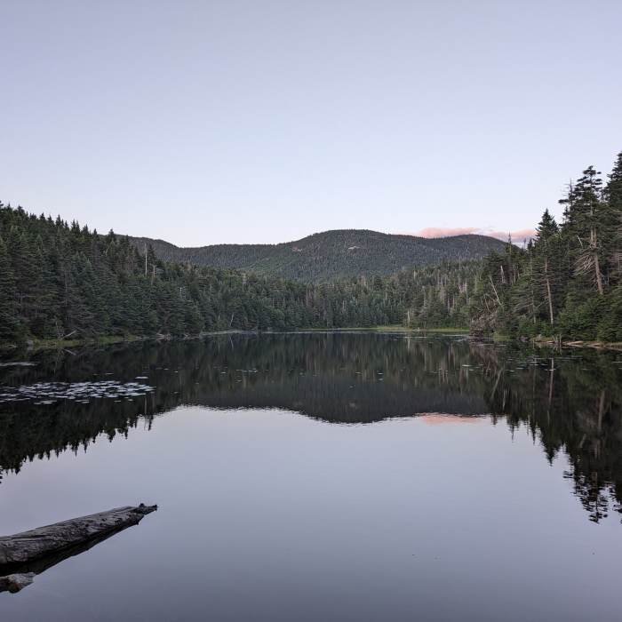 Near Sterling Pond Trail