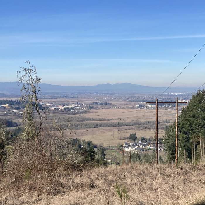 View from the top. Near Wild Iris Ridge Loop