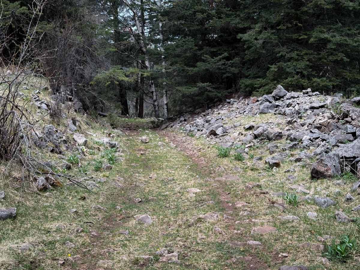 Hubbell Canyon- FS 9277 photo 5