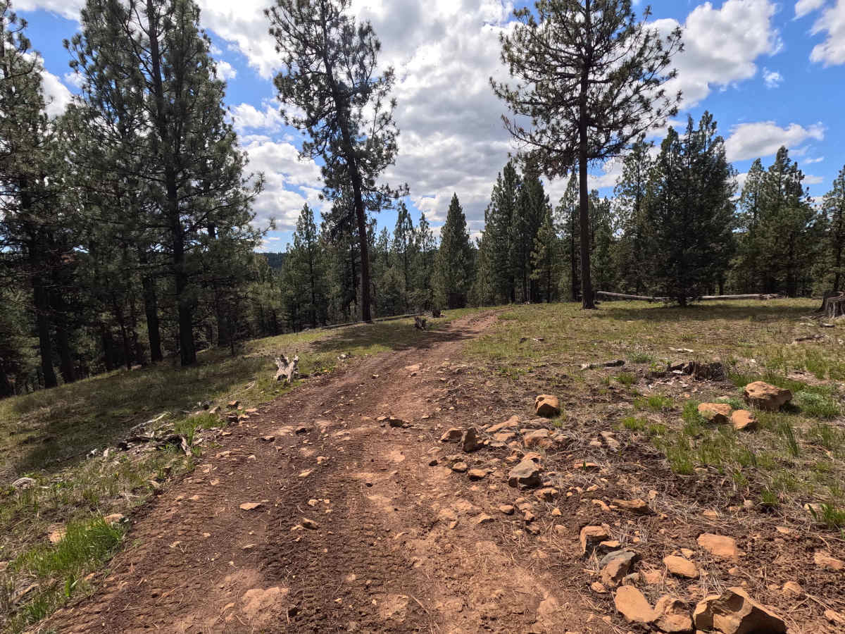 Trail G3 photo 2