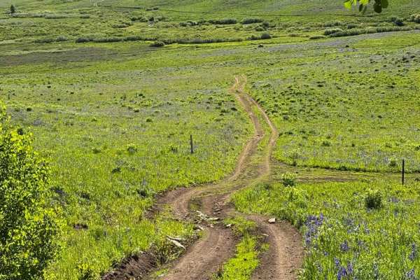 Corral Point Road