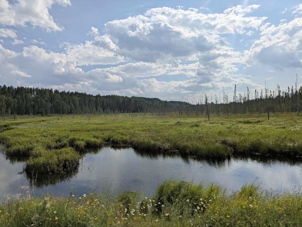 Northwest photo 6