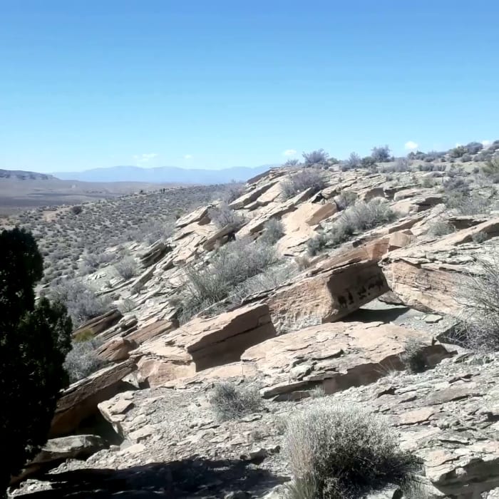 Near More Cowbell Loop