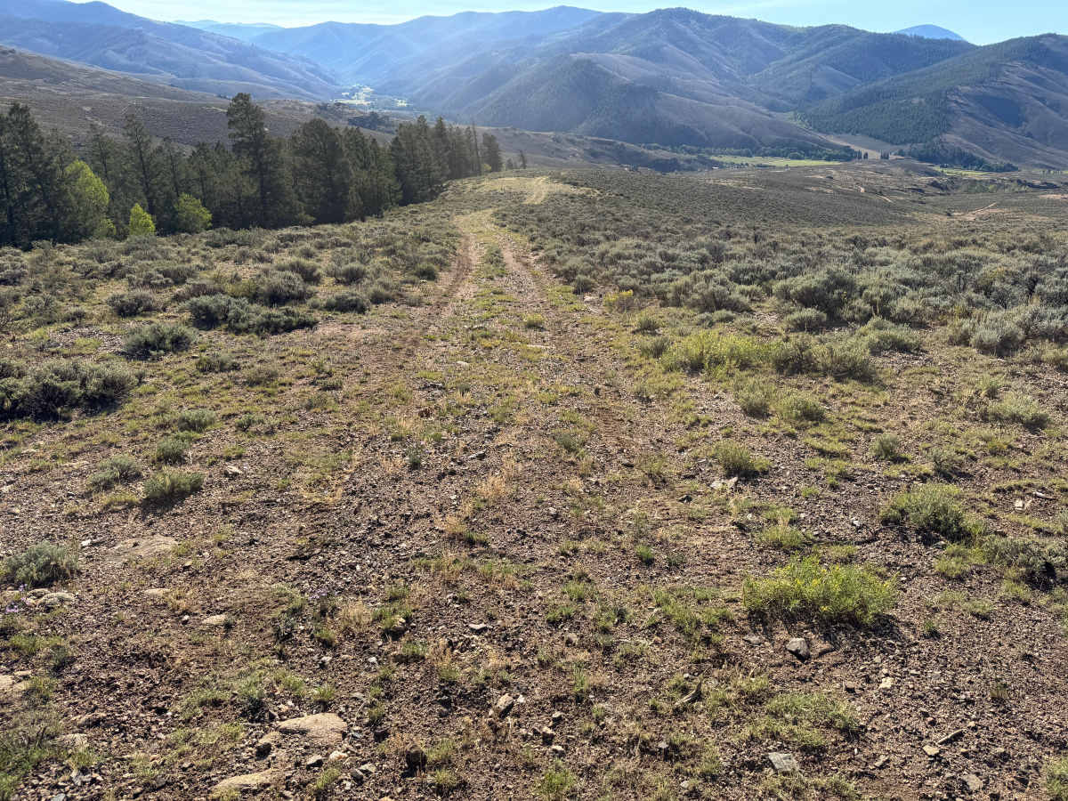 BLM 3102B photo 3