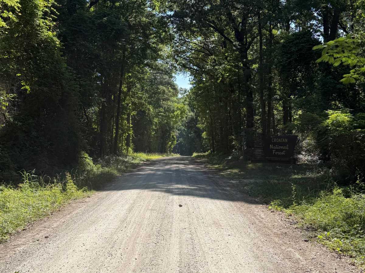 Farrior Farm - FS 121A trail photo