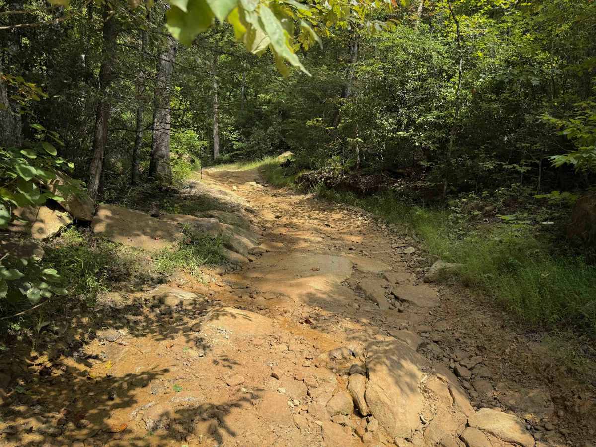 Meadow Branch Trail photo 4