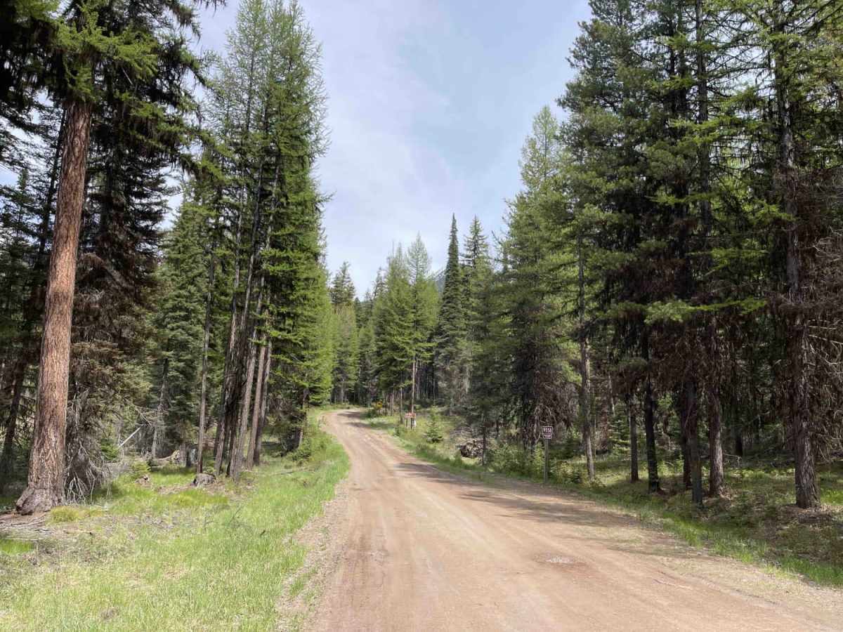 Owl Creek Loop photo 4