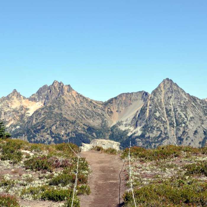 Near Maple Pass Loop