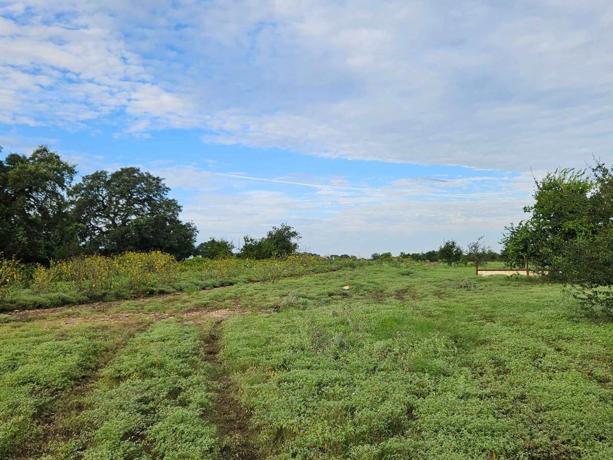 2225 Spur photo 6