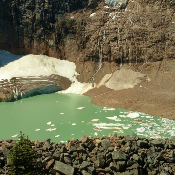 Near Cavell Meadows Trail