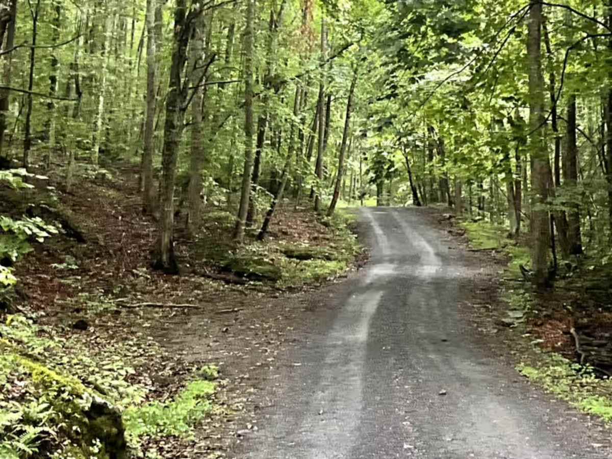 The Knob Road photo 5